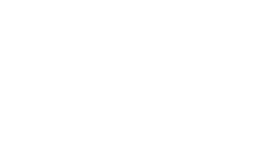 blowterm